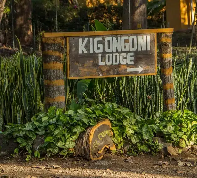 11 Kigongoni Lodge