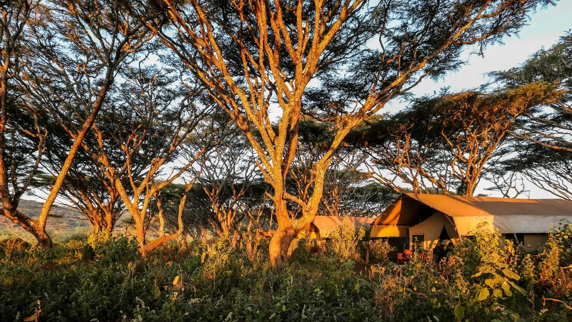 11 Lemala Ngorongoro Camp