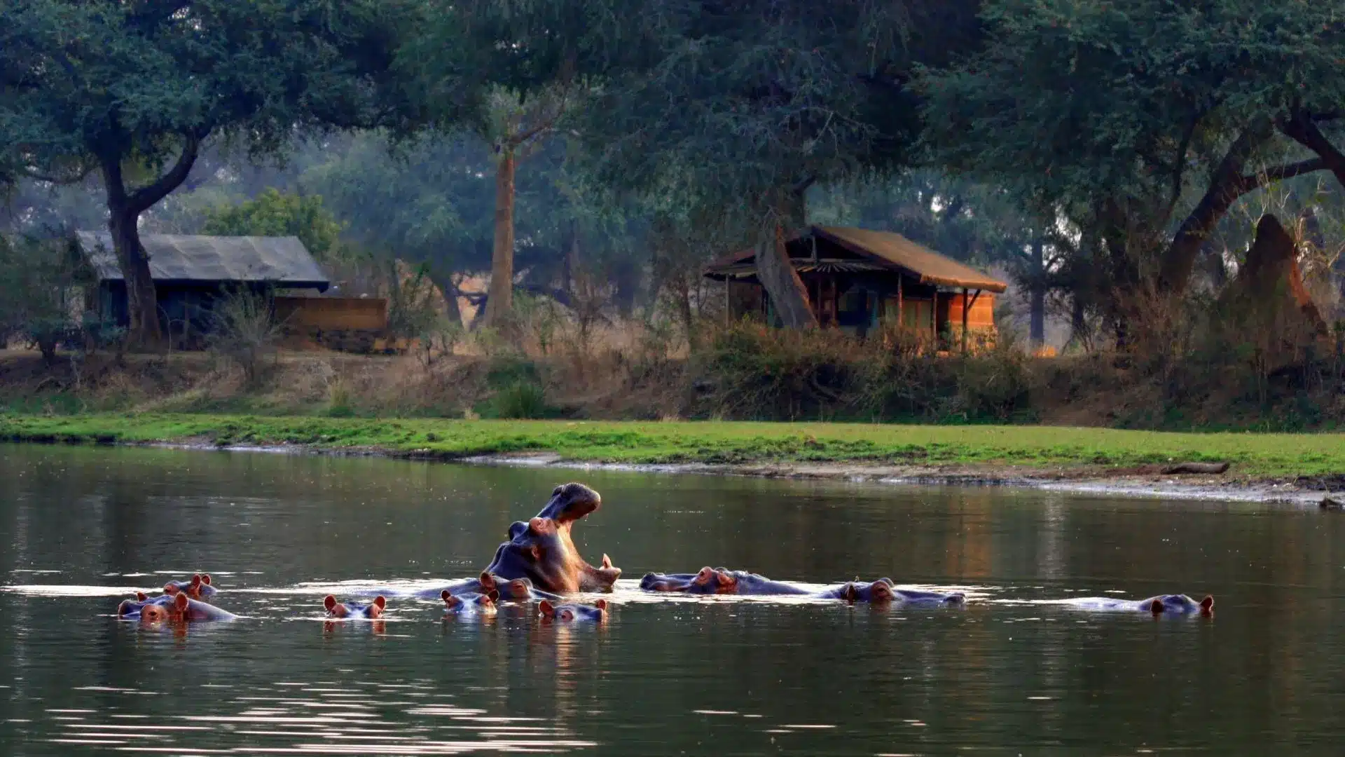 15 Chongwe River Camp