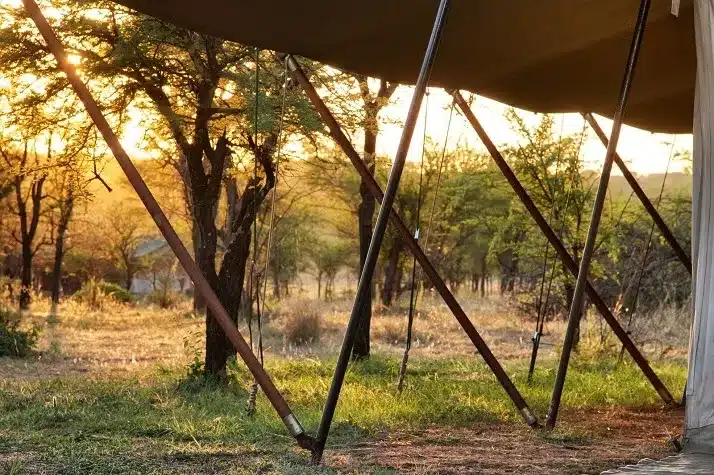 16 Serian Serengeti Camp