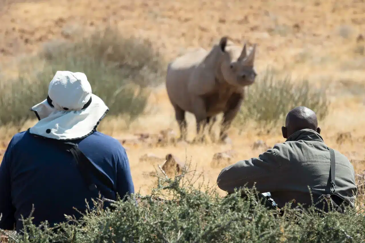 17 Desert Rhino Camp