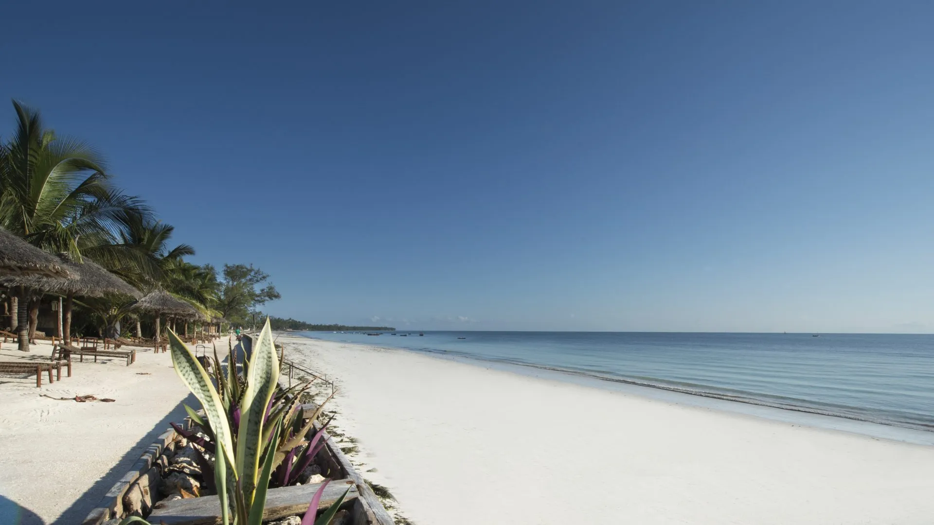 18 Uroa Bay Beach Resort