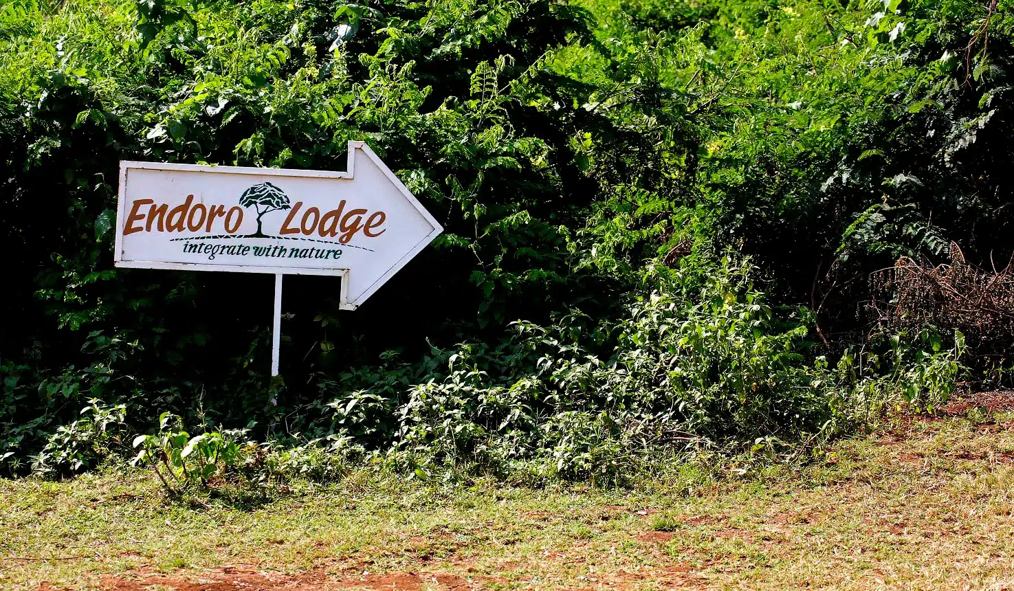 2 Endoro Lodge