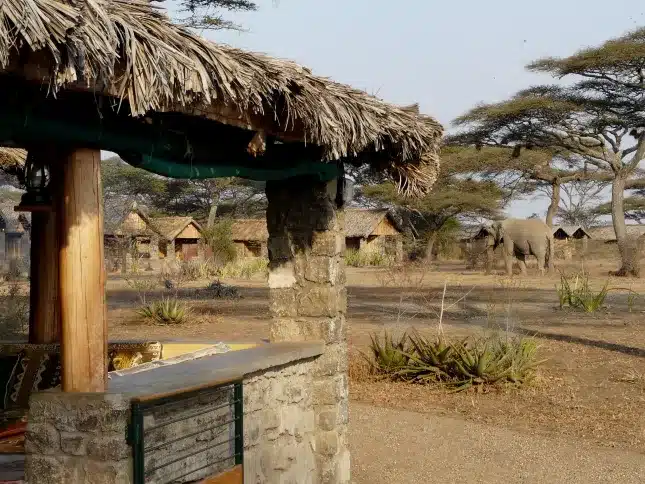 2 Ndutu Safari Lodge