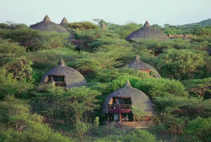 2 Serena Serengeti Lodge