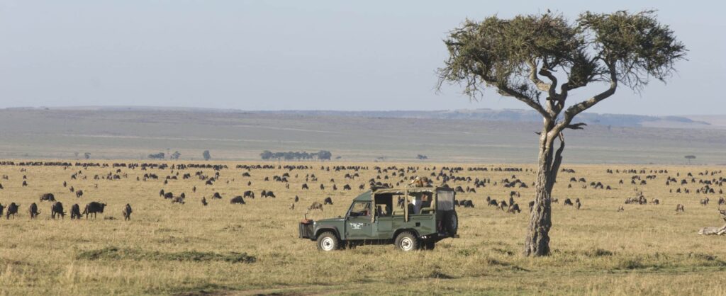 family safari holidays kenya