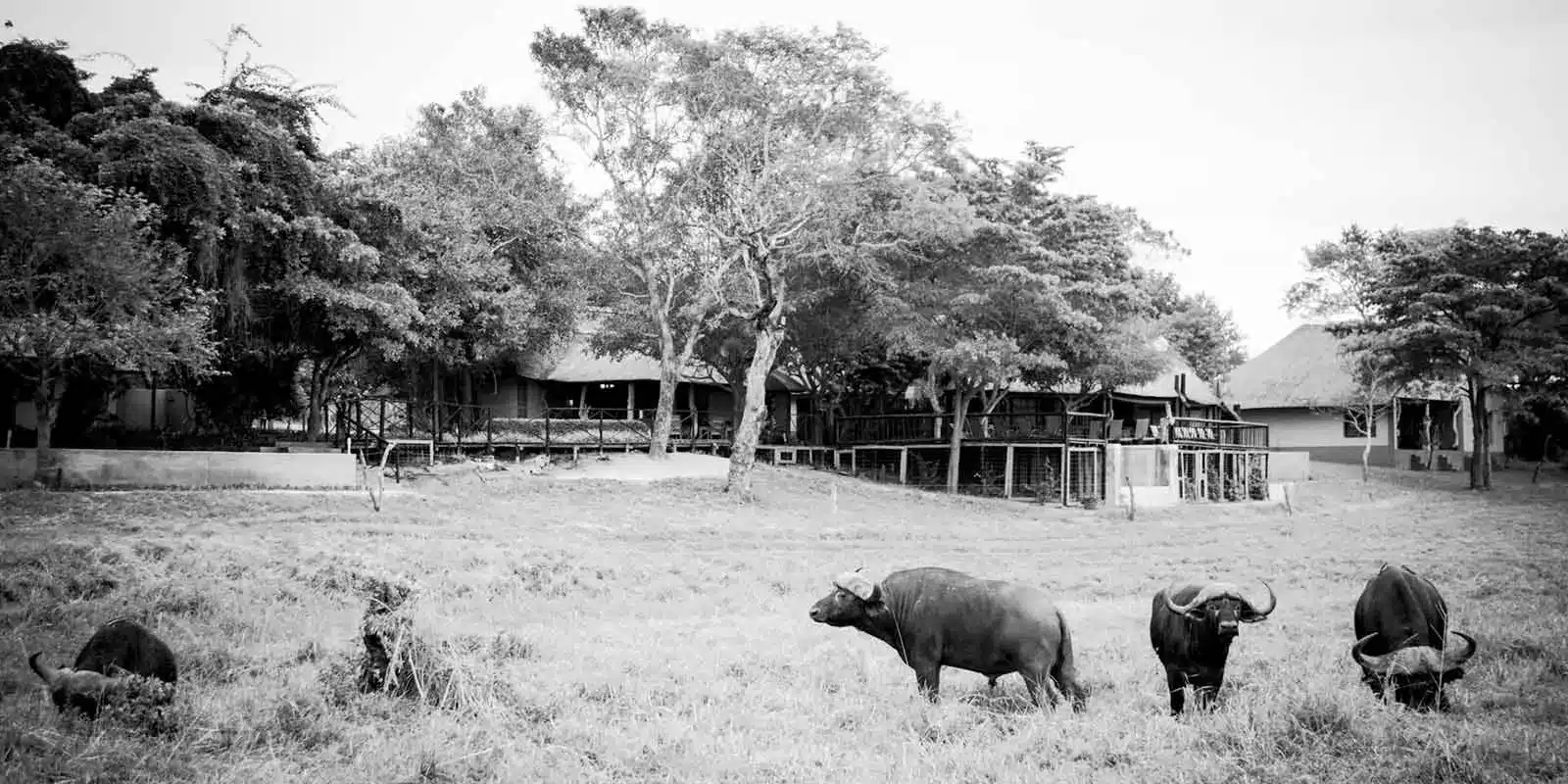 21 Umkumbe Safari Lodge