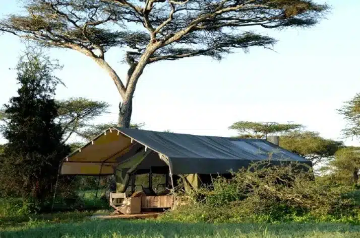 24 Nomad Serengeti Camp