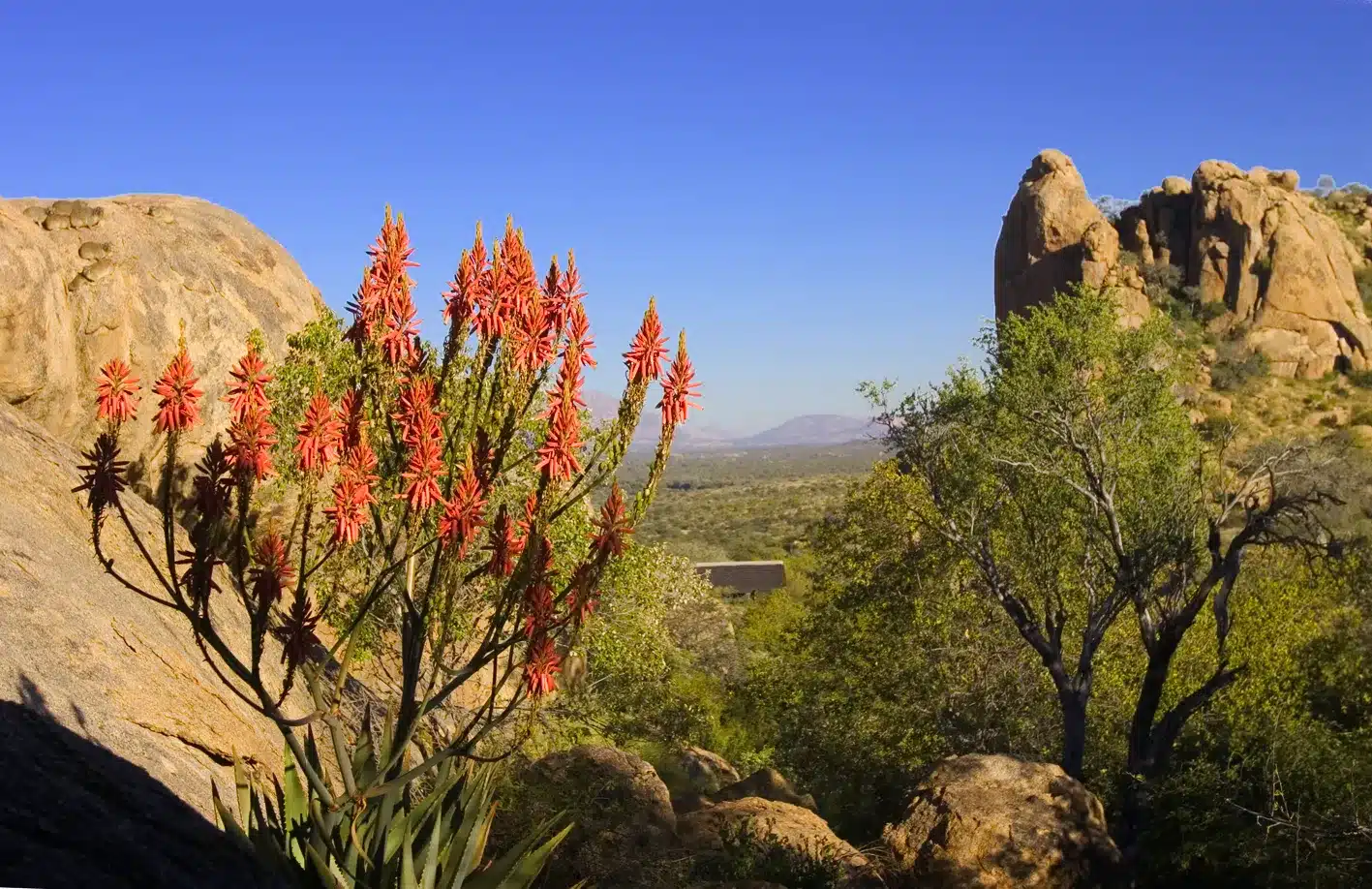 25 Erongo Wilderness Camp