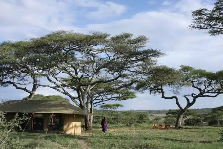 3 Lemala Serengeti Camp