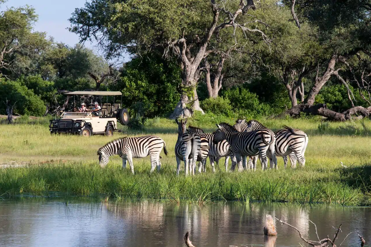 4 Vumbura Plains Camp
