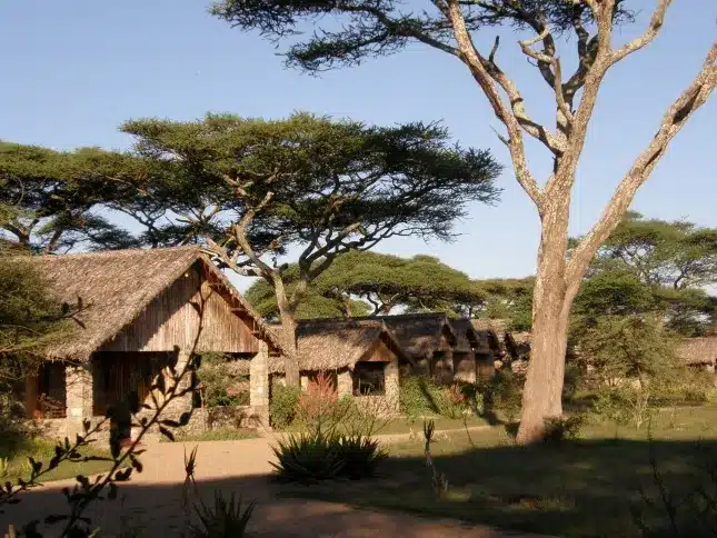 5 Ndutu Safari Lodge