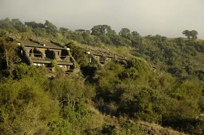 5 Serena Ngorongoro Lodge