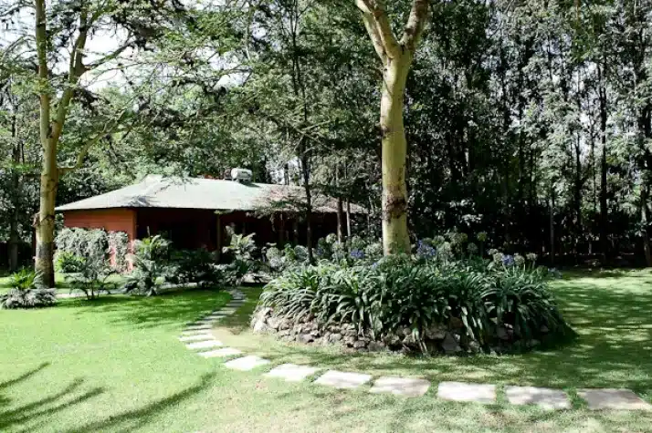 7 Olasiti Lodge