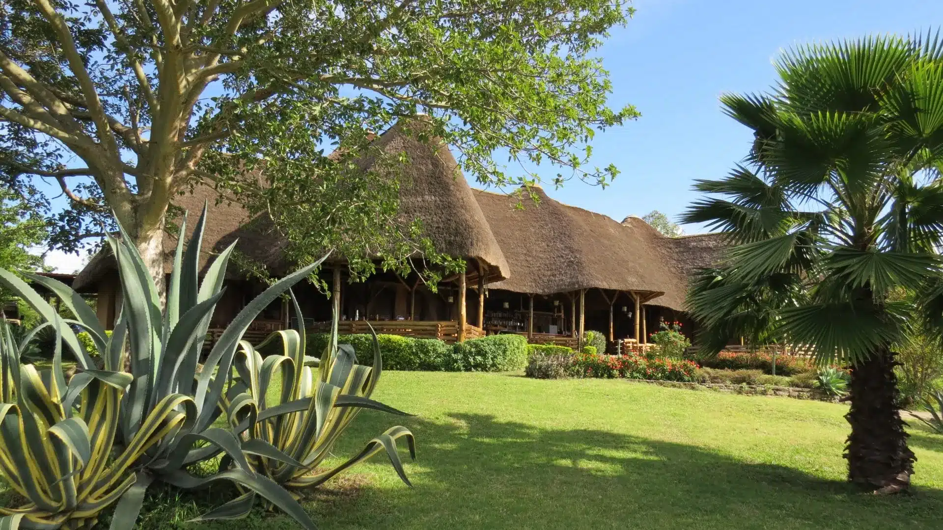 8 Katara Lodge