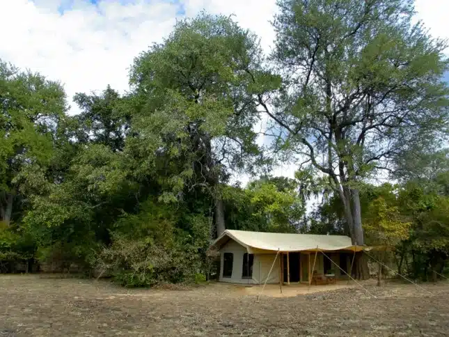 9 Kalamu Bush Camp
