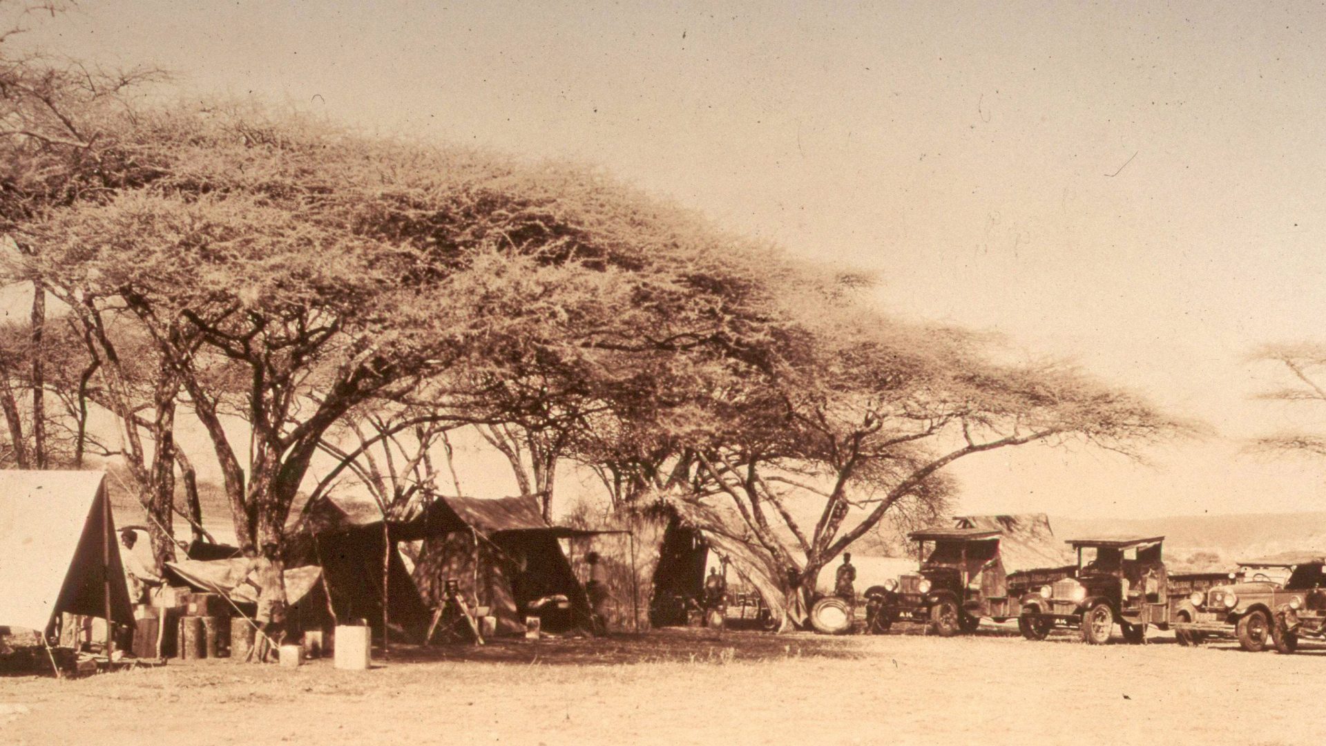 Cottar's 1920s Camp 24
