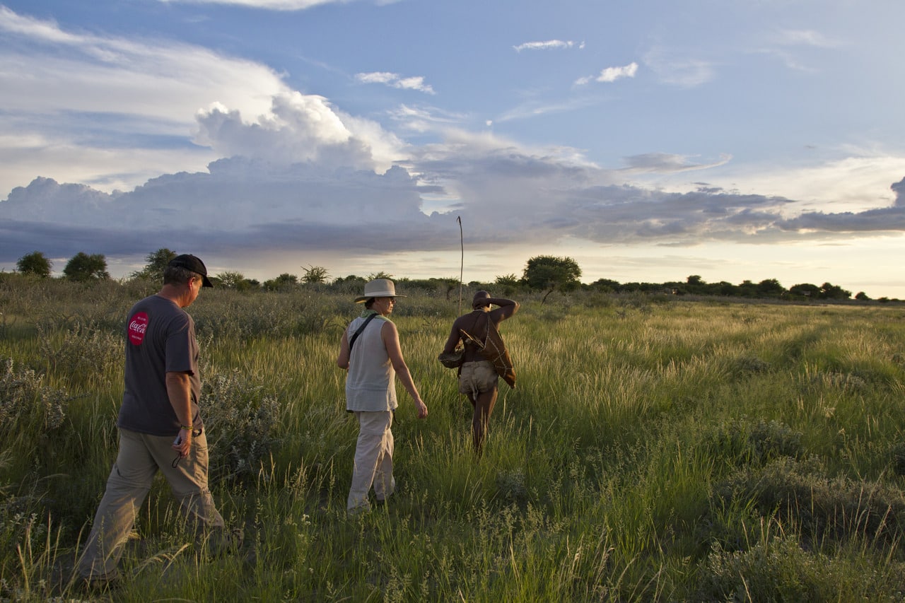 Kalahari_Plains_Camp_Gallery_K3H6764