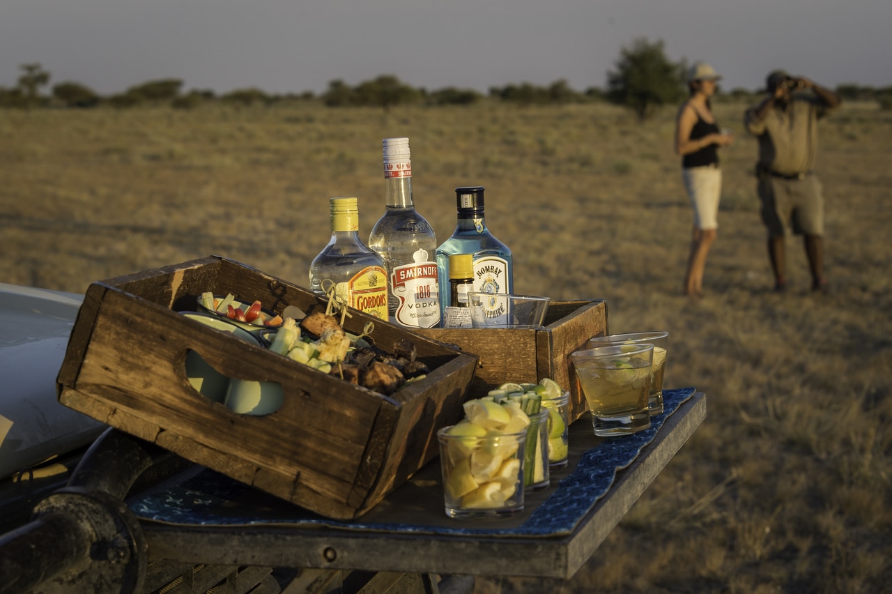 Kalahari_Plains_Camp_Gallery_Kalahari_2015-03-72