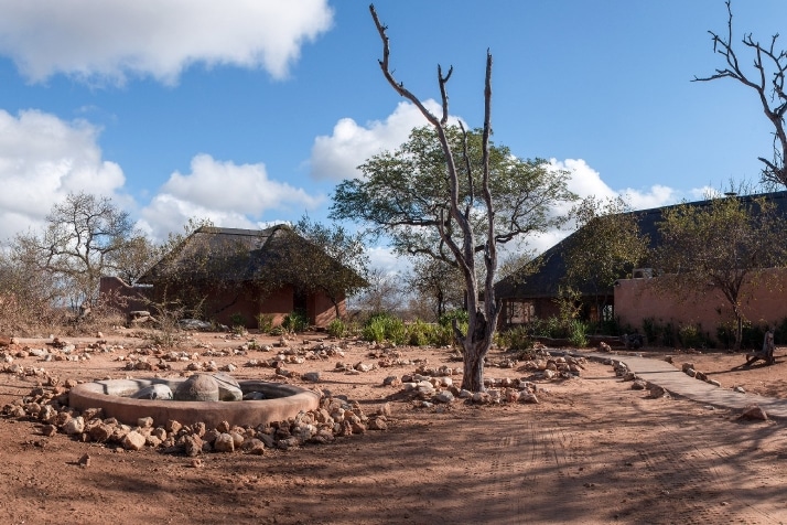 Little Garonga Safari Camp 19