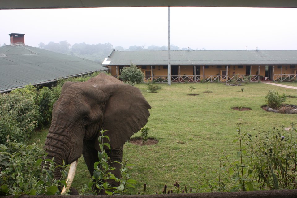 Rhino Lodge 16