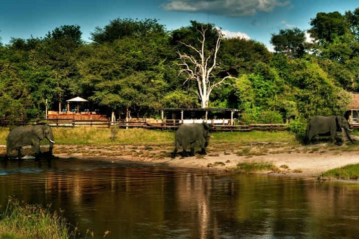 Savute Safari Lodge 13