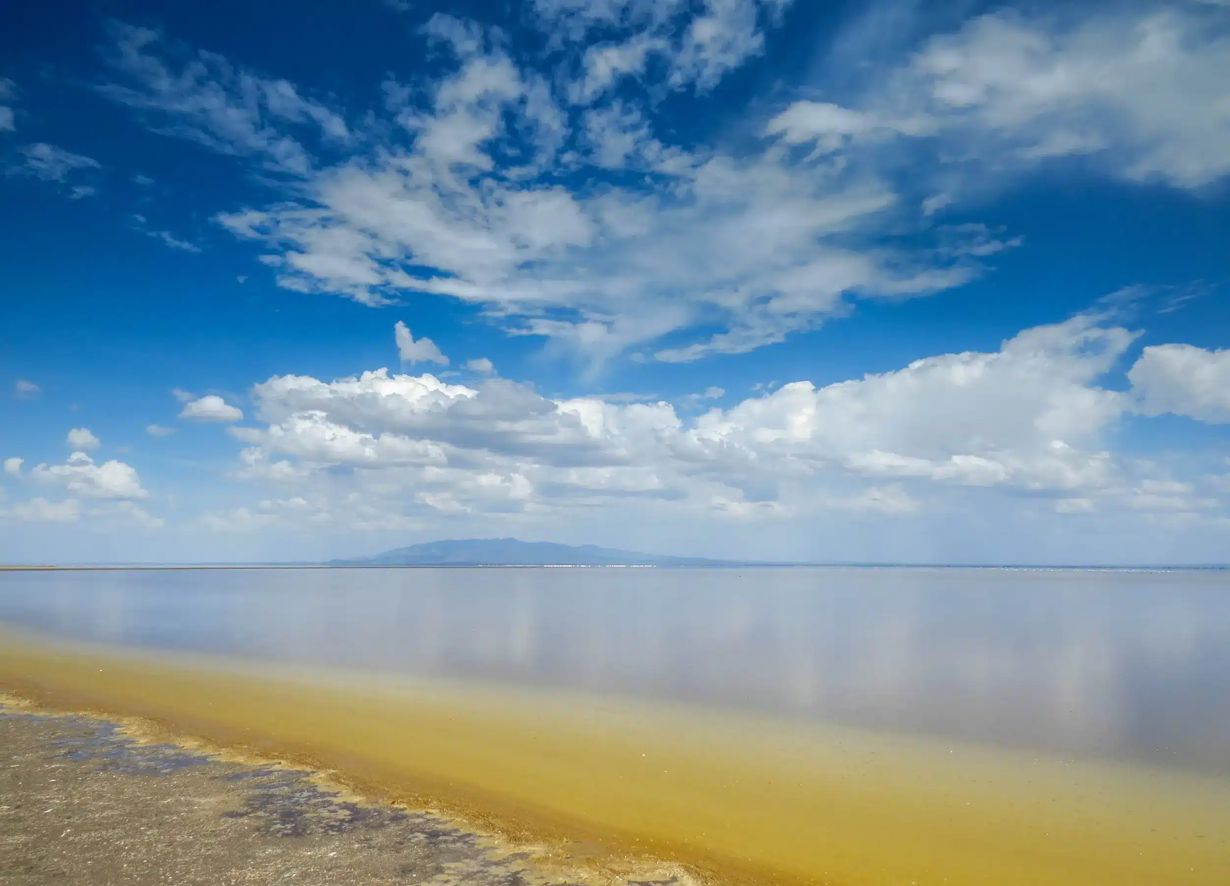 Serena Lake Manyara