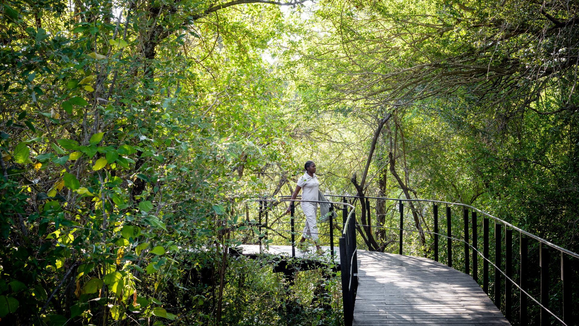 Singita Sweni 15