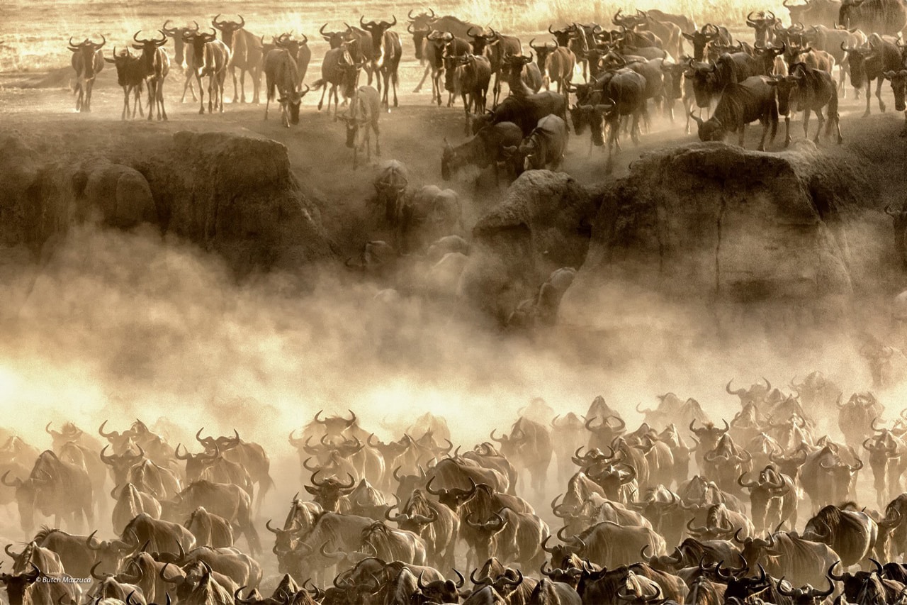 paul-kirui-photography-signature-photo-safaris-maasai-wanderings-africa-migration