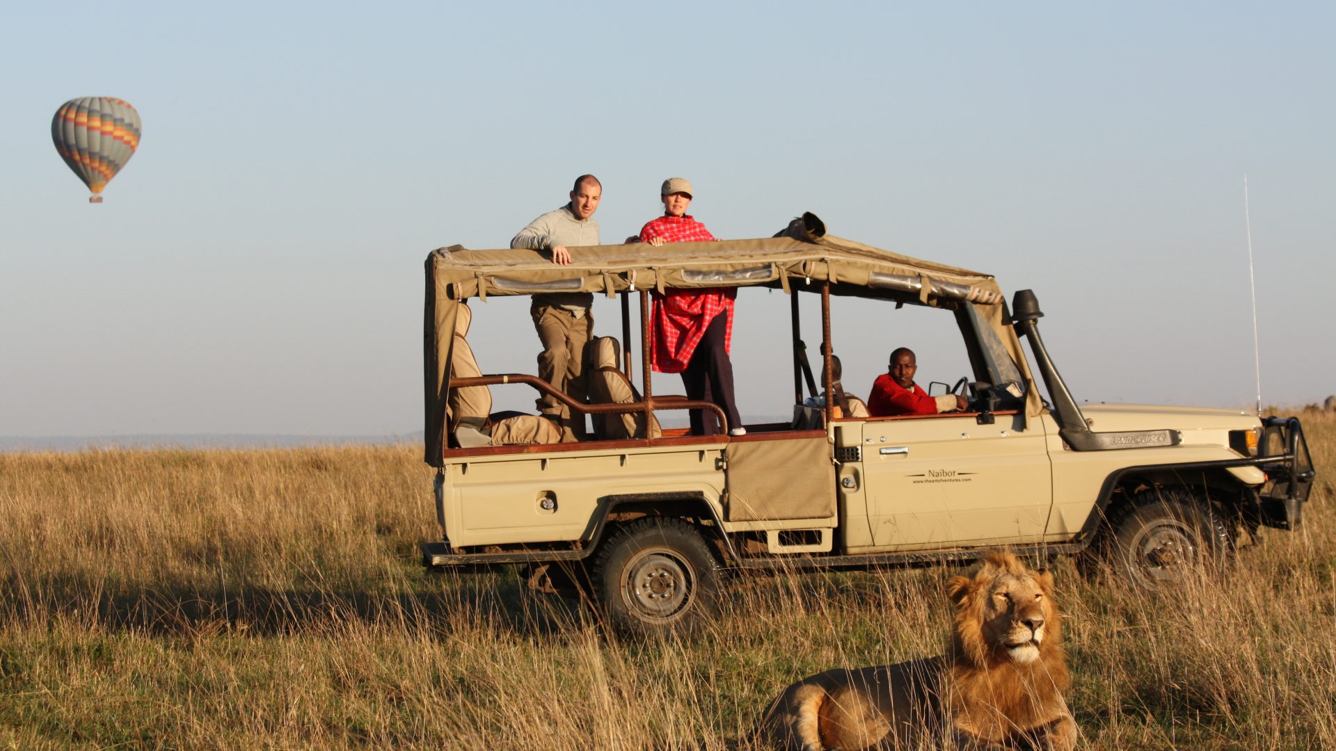 safari-activities