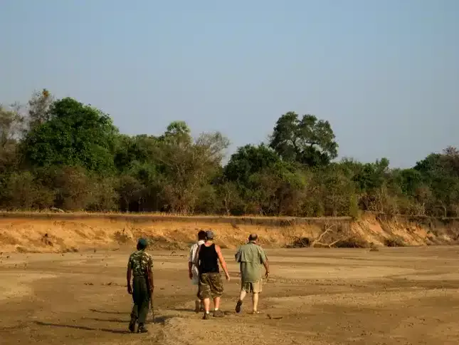 10 Kalamu Bush Camp