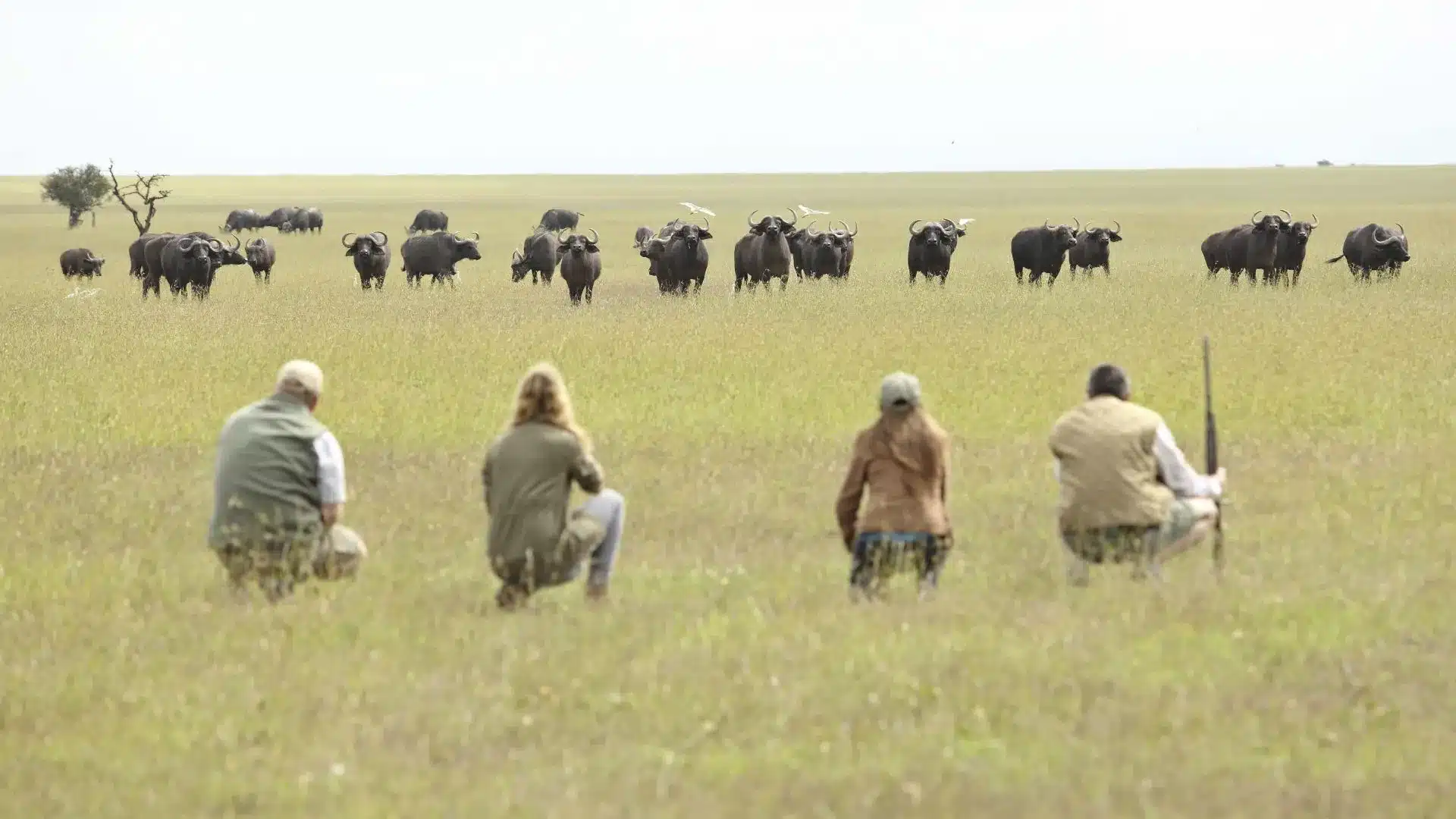 14 Ol Pejeta Bush Camp