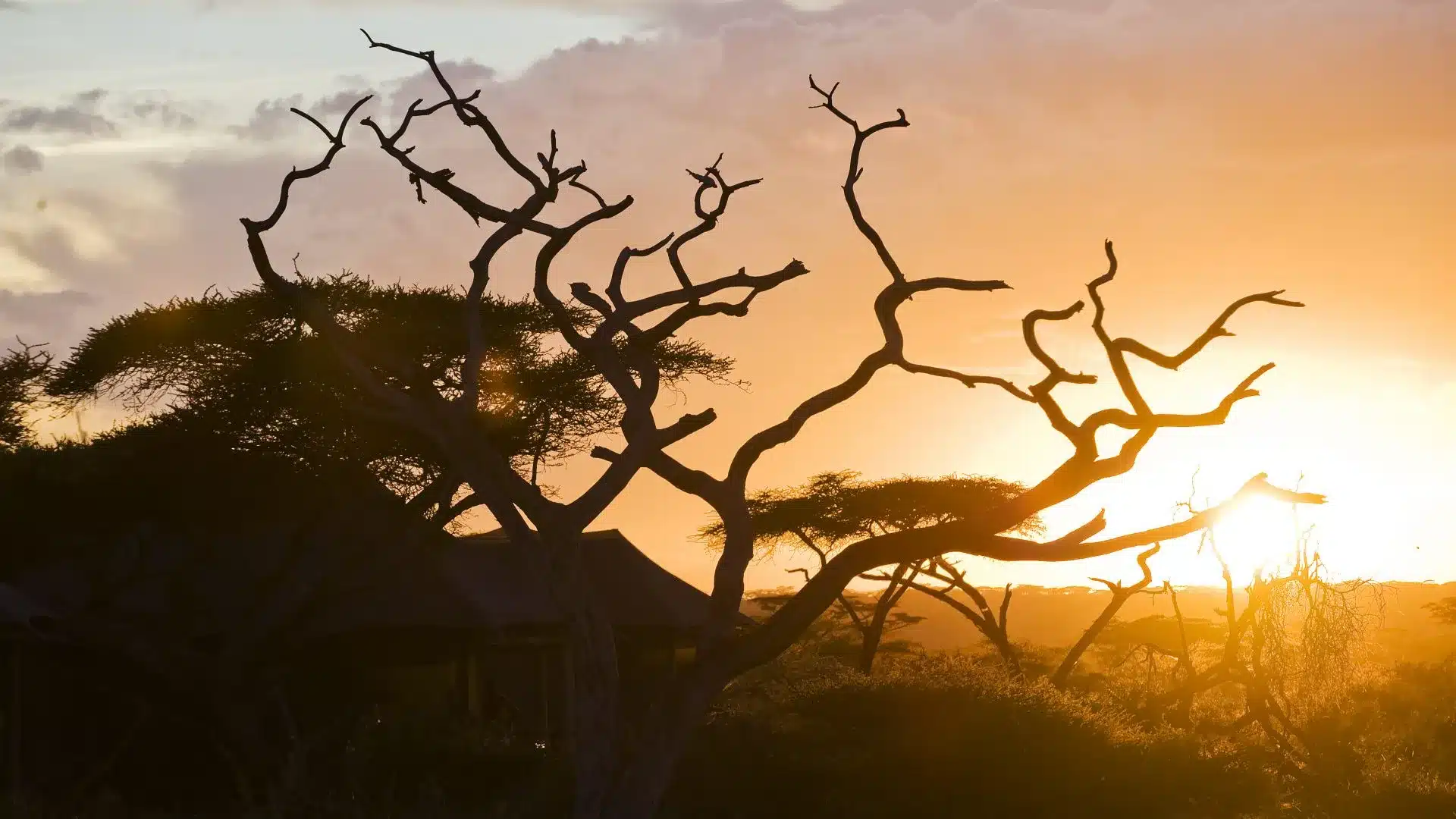 15 Lake Masek Tented Camp