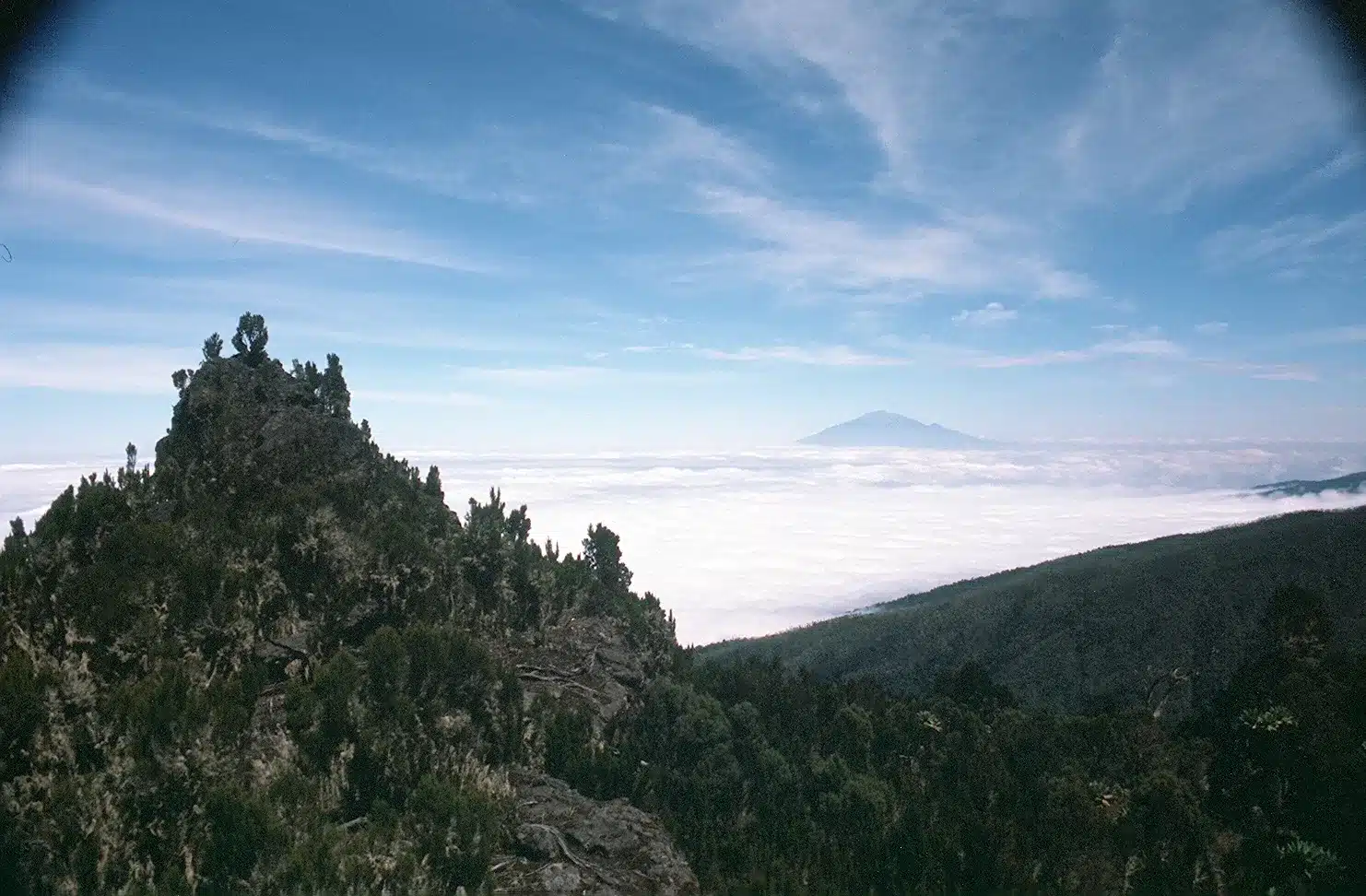 17 Machame Route