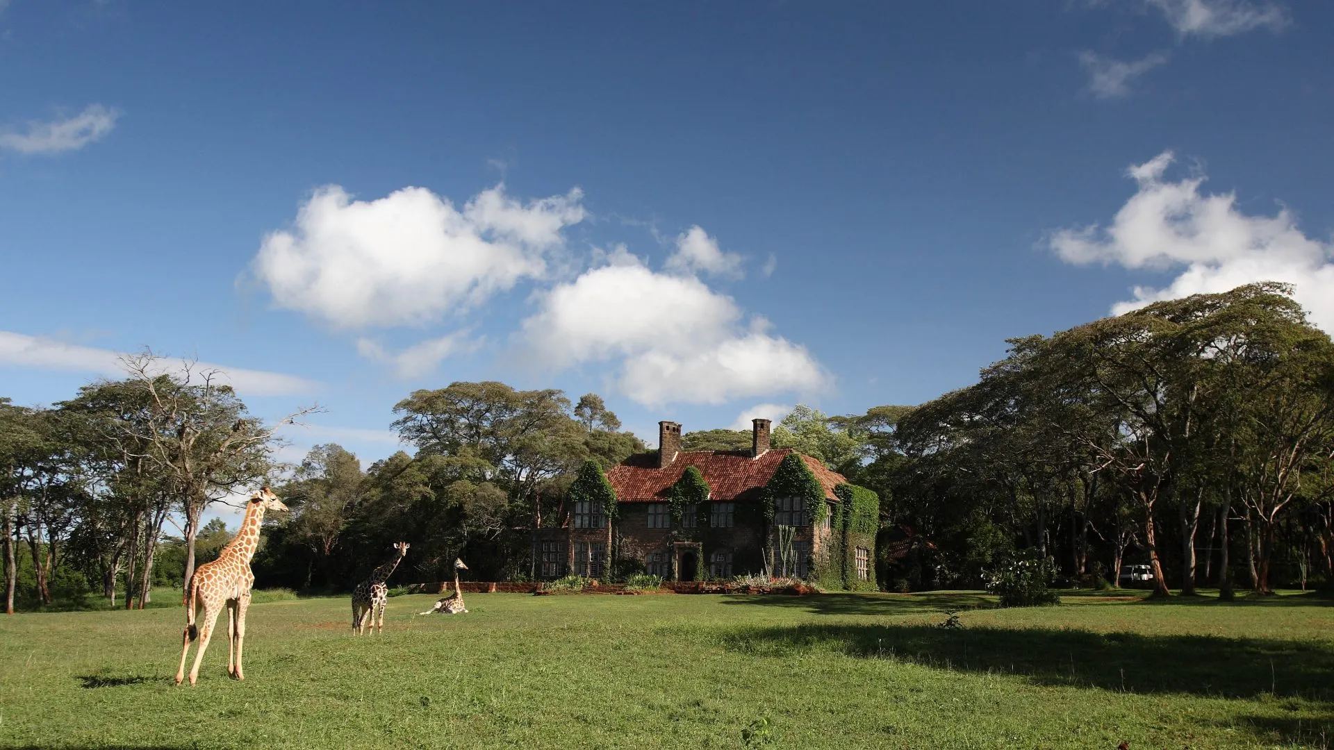 3 Giraffe Manor