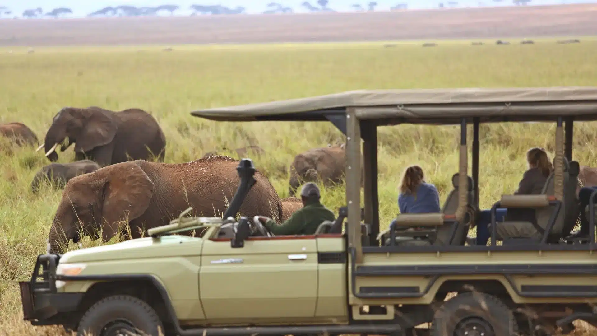 4 Tarangire Safari Lodge