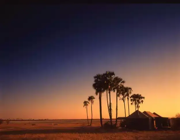 Jack's Camp