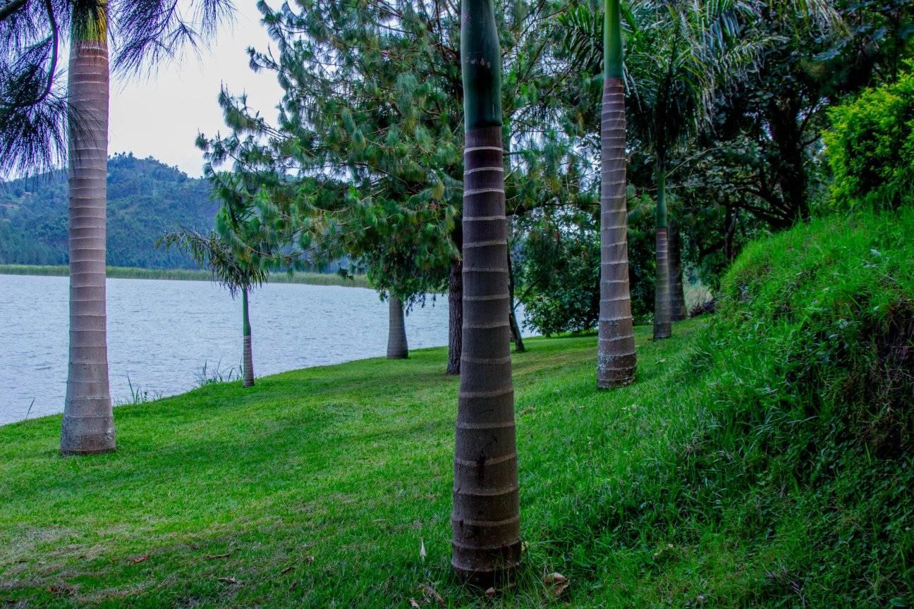 Lake Mulehe Lodge 4