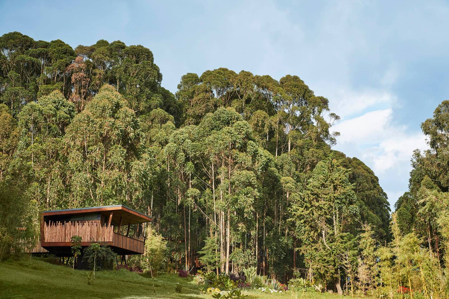 One&Only Gorillas Nest 13