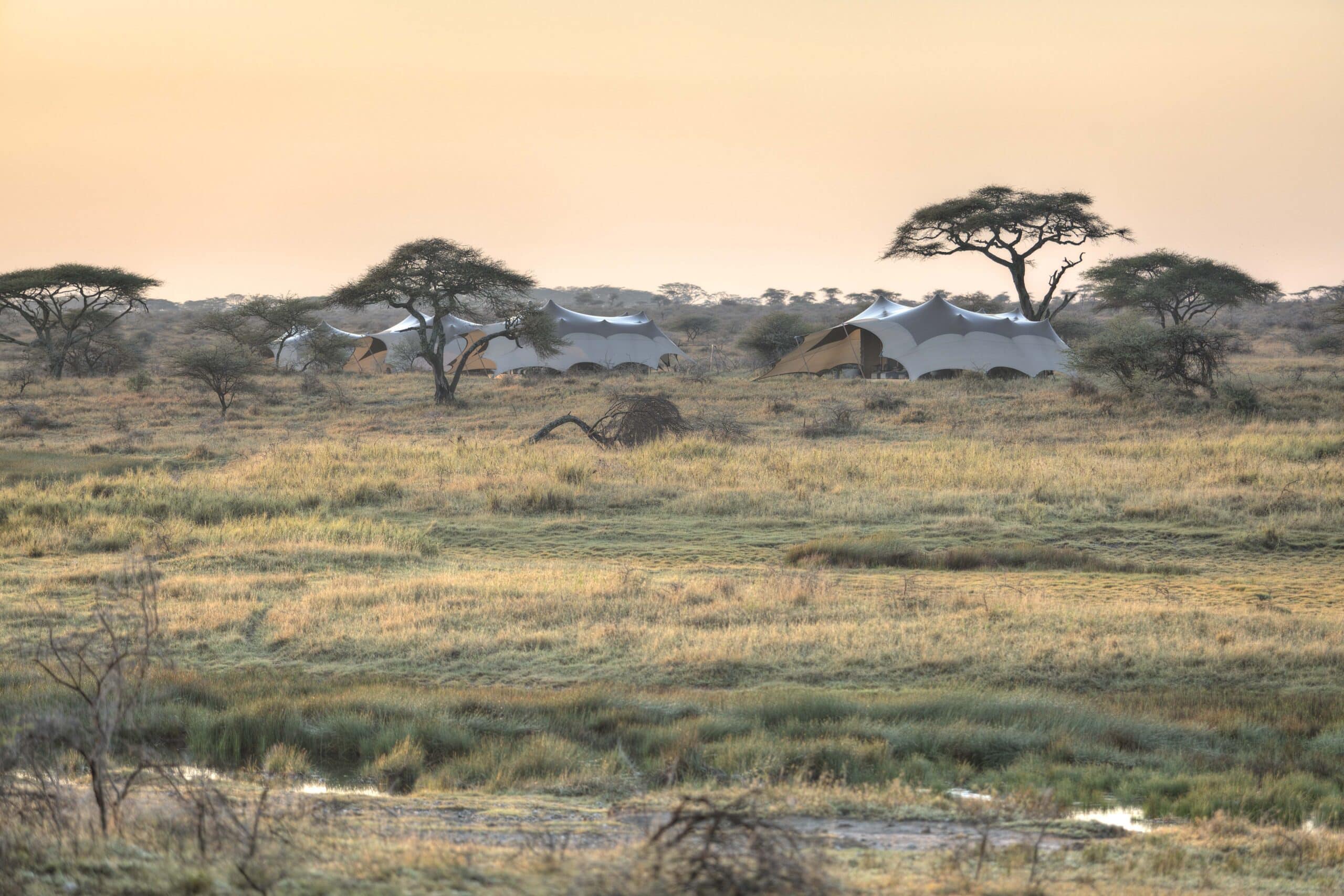 Namiri Plains - Camp overview